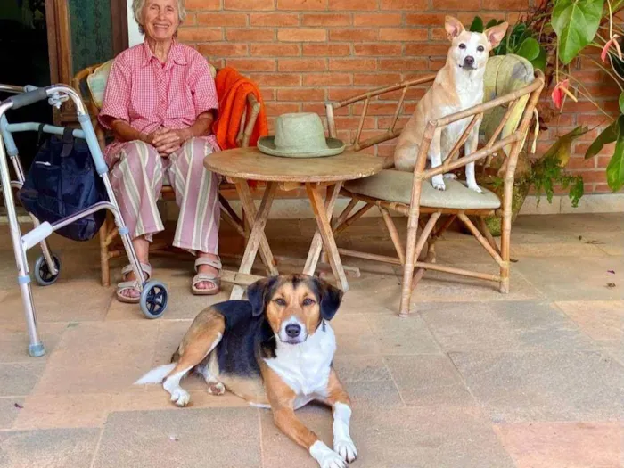 Cachorro ra a SRD-ViraLata idade 6 ou mais anos nome Nino