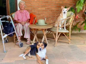 Cachorro raça SRD-ViraLata idade 6 ou mais anos nome Amarelinha