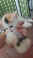 Nina