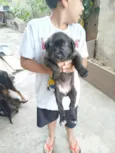 Não tem um nome ainda