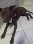 Molly