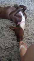 Molly