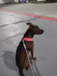Molly