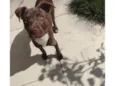 Molly