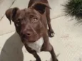 Molly