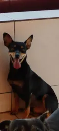 Pirulitto