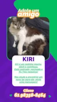Kiri