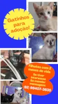 Sem Nome