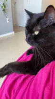 Salem