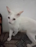 Tom