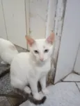 Nilo