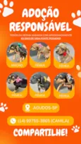 Bebês porte pequeno o pai e Pincher e a mãe SRD de porte pequeno 