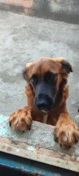 nalinha 