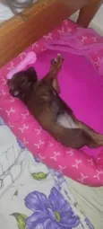 nalinha 