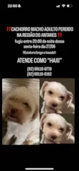 HAXI