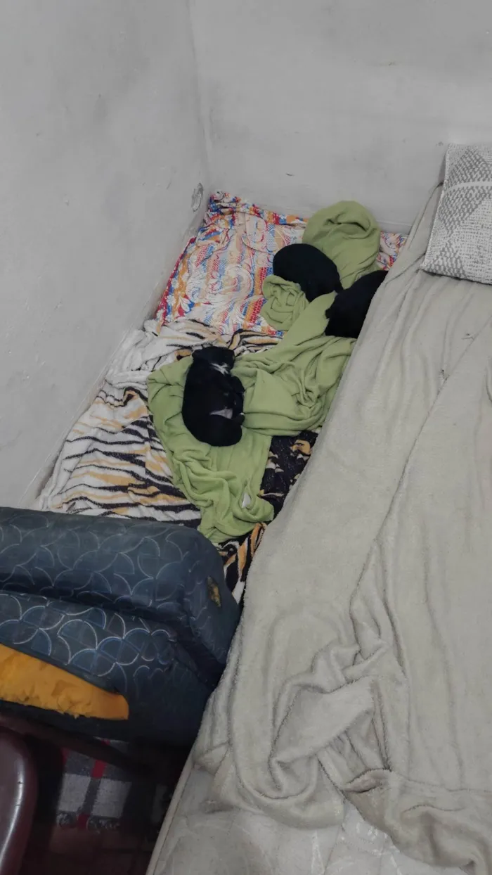 Cachorro ra a SRD-ViraLata idade 2 a 6 meses nome Macho: paçoca fêmeas: estrelinha, cherir