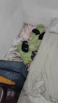 Macho: paçoca fêmeas: estrelinha, cherir