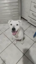 Amora