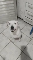 Amora