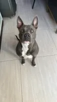 Ragnar