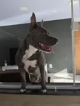 Ragnar