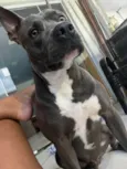 Ragnar