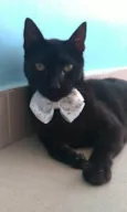Bartolomeu