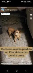 Não sei