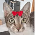 Julieta
