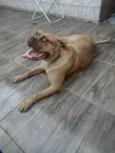 Mel