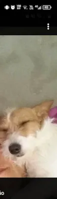 Amora