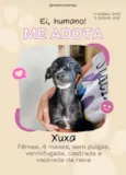 Vencedores