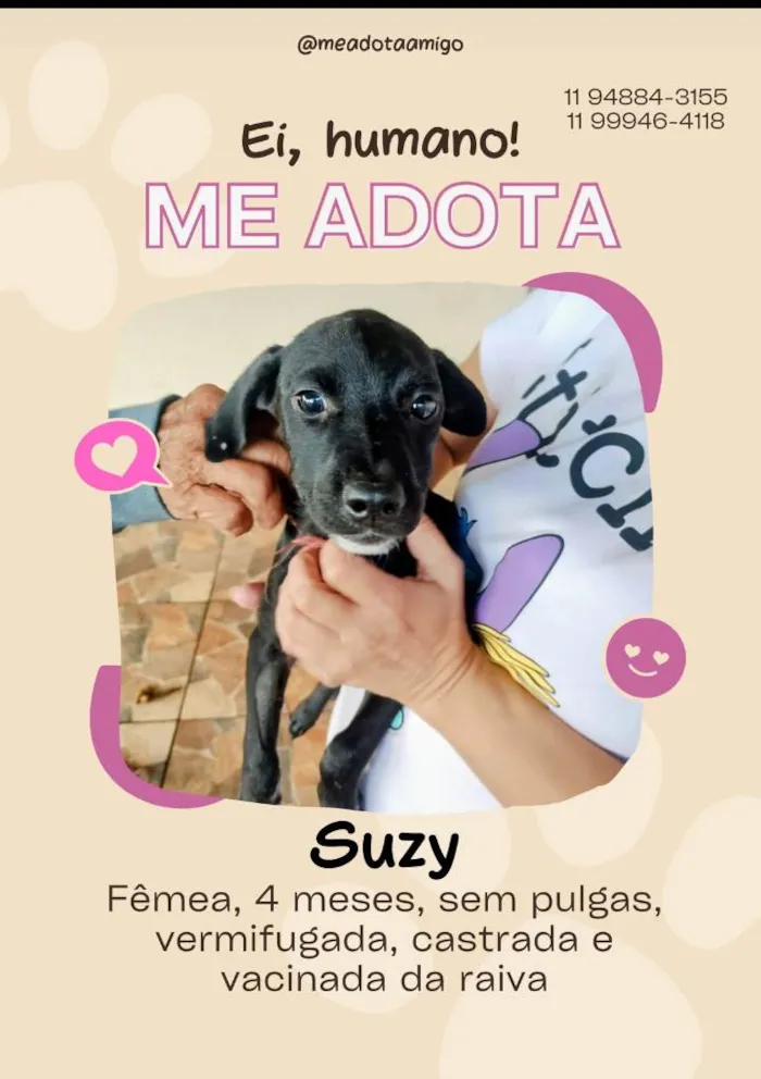Cachorro ra a SRD-ViraLata idade 2 a 6 meses nome Vencedores 
