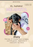 Vencedores