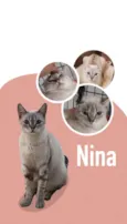 THOR e NINA