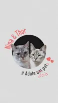 THOR e NINA
