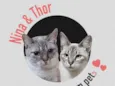THOR e NINA