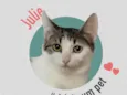 NINA