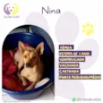 Nina