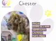 Chester
