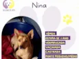 Nina