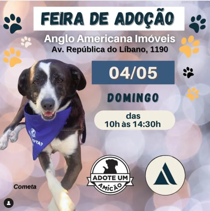 Cachorro ra a SRD-ViraLata idade Abaixo de 2 meses nome teste