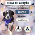 teste