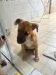 Não sei