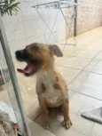 Não sei
