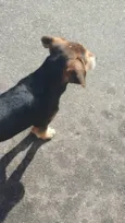 Nina
