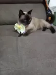Zoe
