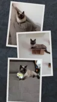 Zoe