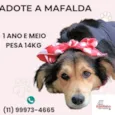 Mafalda