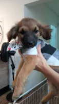 Einstein 